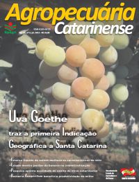 capa-julho-2012