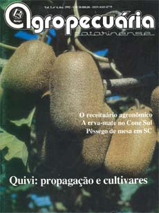 capa-rac-dez-1992