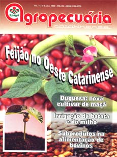 capa-rac-dez-1998