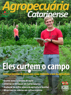 capa-280x374px