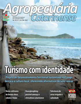 capa-Set-Dez150px