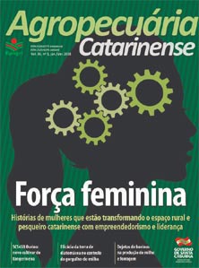 capa-Set-Dez150px