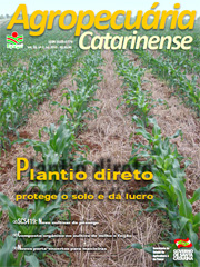 capa-julho-2013