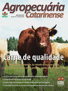 capa-280x374px