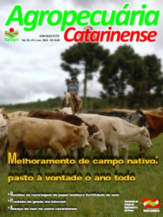 capa-marco-2012