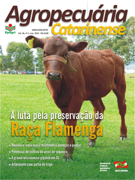 capa-marco-2013