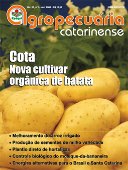 capa-rac-nov-2008