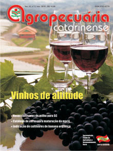 edicao_rac_novembro2010