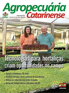 capa-novembro-2011