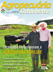 capa-novembro-2013