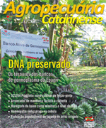 capa-rac-novembro-2014
