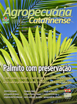 capa-Set-Dez150px